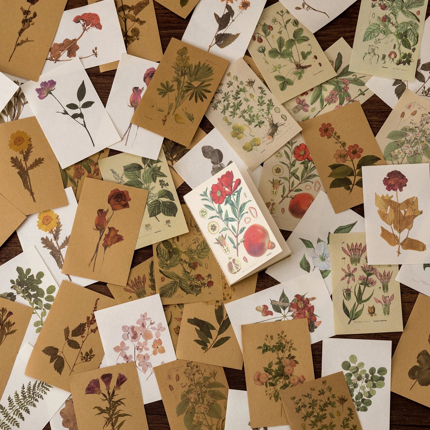 Papiers Scrapbooking Conte Féérique, Papillons & Plantes | 80 Pièces